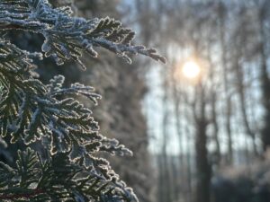 boule à neige